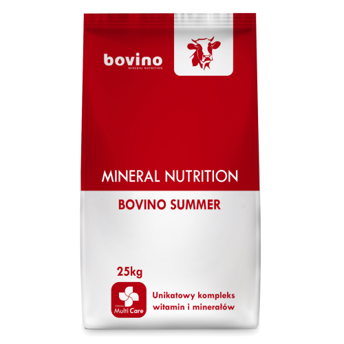bovino summer worek.png