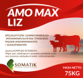 amoliz75-01.png
