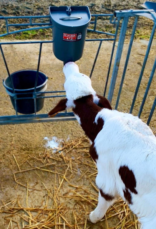 Milk Bar poidło 3L