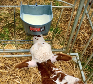 Milk Bar poidło 1 - 4 litry