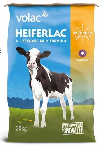 Heiferlac.jpg