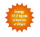 Energia.jpg