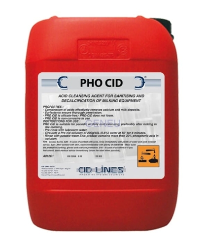 phocid somatik.jpg