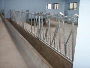 Drabina zatrzaskowa.jpg