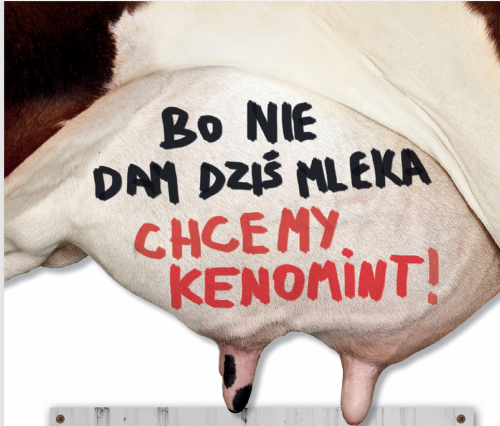 Zrzut ekranu 2025-01-10 094211.png