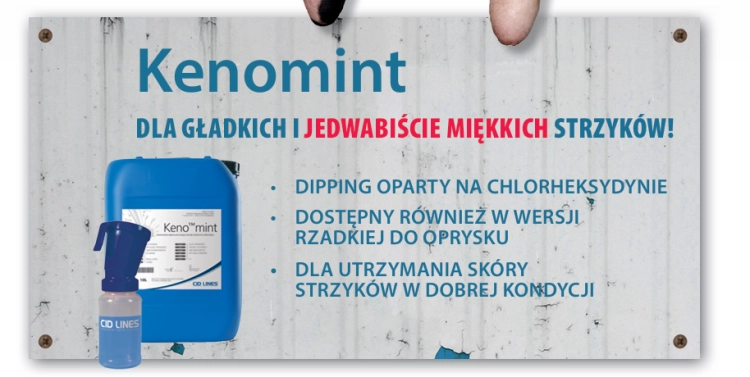 Zrzut ekranu 2025-01-10 094224.png