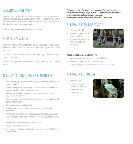Zrzut ekranu 2025-01-10 095433.png